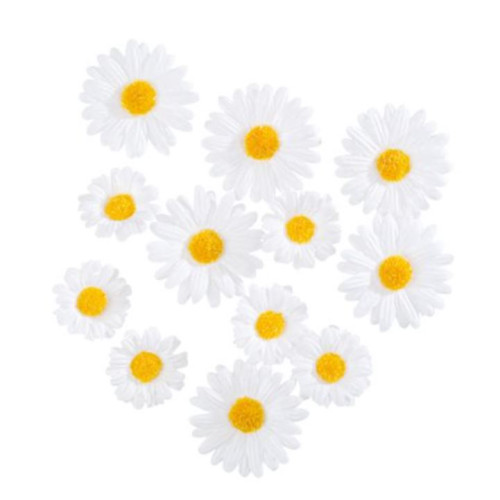 12 MARGUERITES BLANCHES ET JAUNE