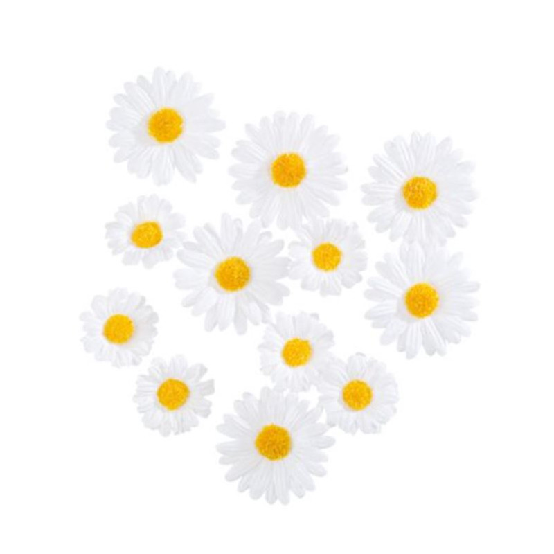 12 MARGUERITES BLANCHES ET JAUNE