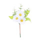 BRANCHE DE MARGUERITES ET EUCALYPTUS