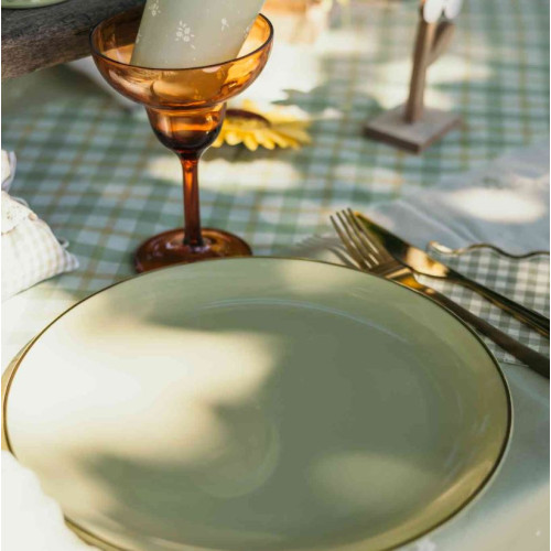 6 ASSIETTES ÉLÉGANCE - RÉUTILISABLE VERT SAUGE
