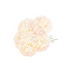 6 HORTENSIAS BLUSH ET VERT