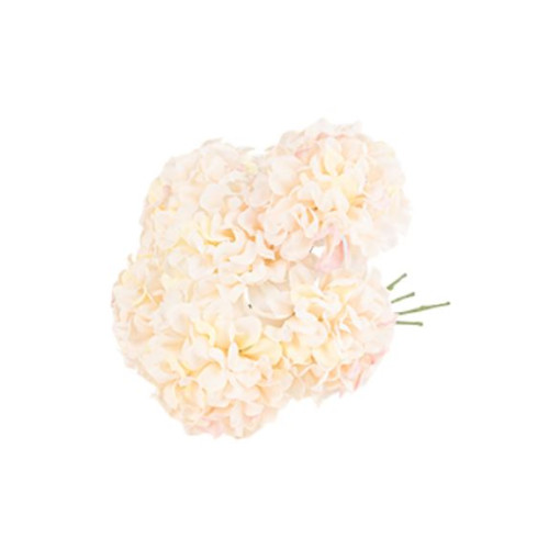 6 HORTENSIAS BLUSH ET VERT