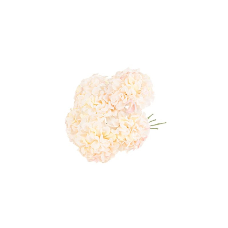 6 HORTENSIAS BLUSH ET VERT