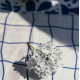 10 BRANCHES DE 6 FLEURS BLANCHE