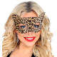 LOUP  LEOPARD