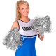 SET DE 2 POM POM ARGENT