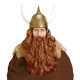 PERRUQUE VIKING+MOUSTACHE