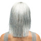 PERRUQUE CRAZY ARGENT