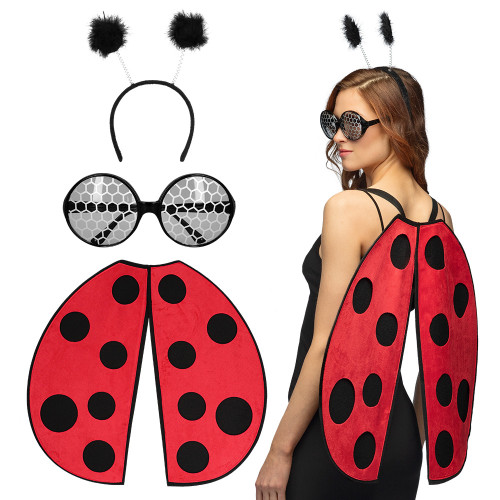 SET LADYBUG