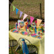 BANDEROLE HOLI MULTICOLORE