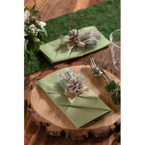20 SERVIETTES RAINBOW OLIVE