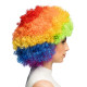 PERRUQUE AFRO MULTICOLORE