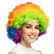 PERRUQUE AFRO MULTICOLORE