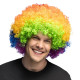 PERRUQUE AFRO MULTICOLORE