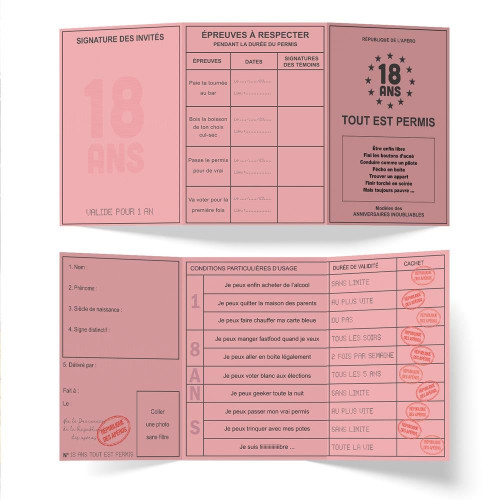 PERMIS 18 ANS "TOUT EST PERMIS"