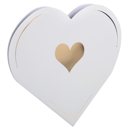 LIVRE D OR PETIT COEUR