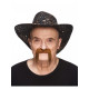 MOUSTACHE PIRATE - ROUX FONCE