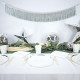 GUIRLANDE FRANGES LAMEES ARGENT