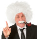 PERRUQUE ET MOUSTACHE EINSTEIN