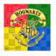 20 SERVIETTES HARRY POTTER