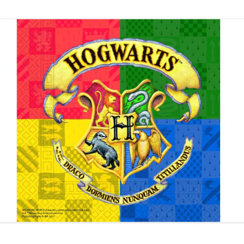 20 SERVIETTES HARRY POTTER