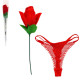 ROSE STRING