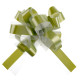 5 NOEUDS TULLE SAUGE 50MM