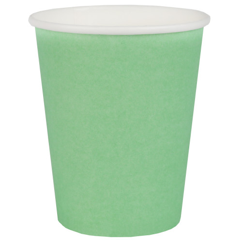 10 GOBELETS RAINBOW  MINT