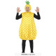 COSTUME ANANAS L