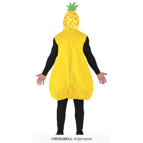 COSTUME ANANAS L