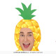COSTUME ANANAS L