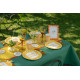 NAPPE RAINBOW VERT FONCE 10 M