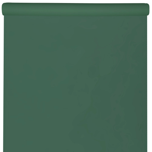 NAPPE RAINBOW VERT FONCE 10 M