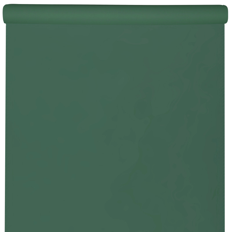NAPPE RAINBOW VERT FONCE 10 M