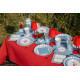 NAPPE RAINBOW ROUGE 10 METRES