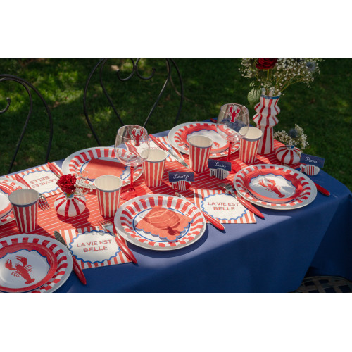 NAPPE RAINBOW BLEU 10 M