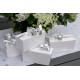 BOLDUC ANNIVERSAIRE ARGENT