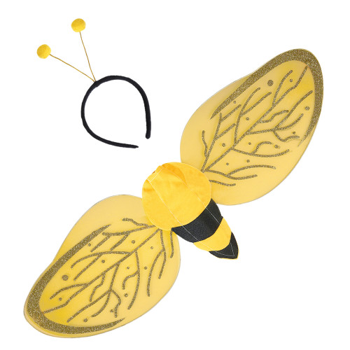 SET DEGUISEMENT ABEILLE