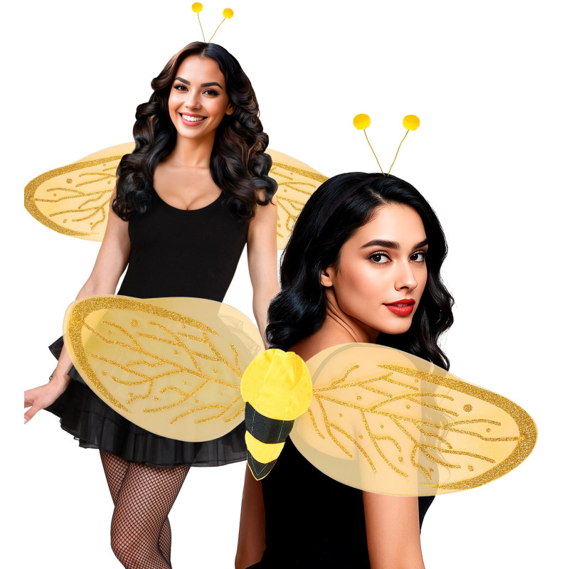 SET DEGUISEMENT ABEILLE