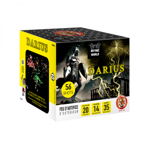 COMPACT DARIUS 56 COUPS