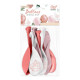 PACK 6 BALLONS EVJF