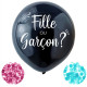 BALLON REVELATION GENDER REVEAL