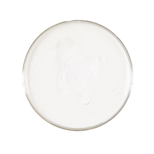 MAQUILLAGE BLANC EN POT 25GR