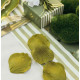 100 PETALES TISSU PISTACHE