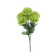 BOUQUET 6 DAHLIAS/FEUILLAGE VERT