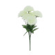BOUQUET 6 DAHLIAS/FEUILLAGE BLANC