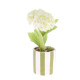 COMPO HORTENSIAS AVEC FEUILLAGE