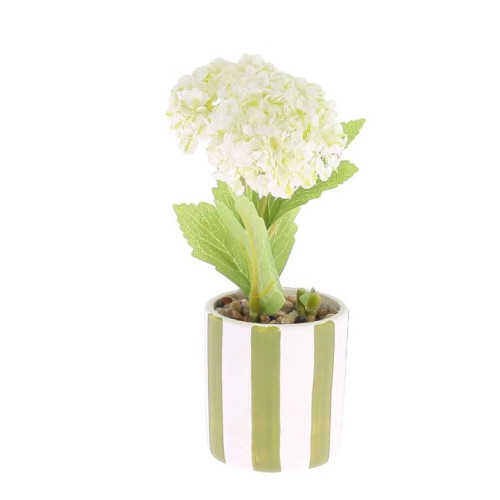COMPO HORTENSIAS AVEC FEUILLAGE