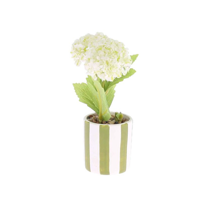 COMPO HORTENSIAS AVEC FEUILLAGE