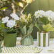 COMPO HORTENSIAS AVEC FEUILLAGE